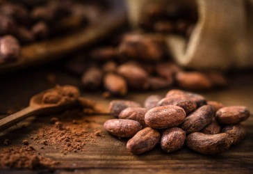 Cocoa Beans